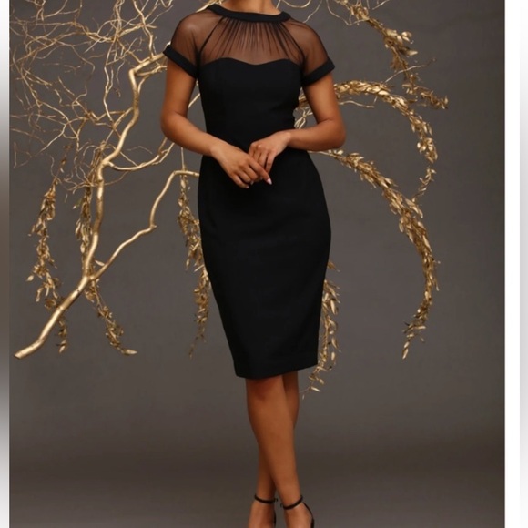 Maggy London Dresses & Skirts - Maggie London The Illusion Dress Black Sheer Size 6